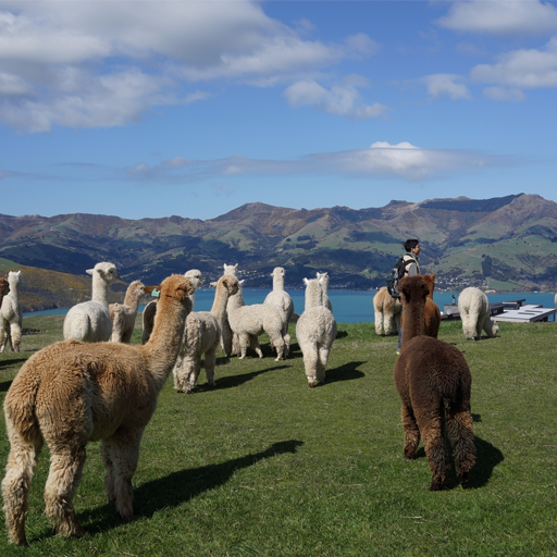 小程序,企業(yè)移動(dòng)辦公,OA,網(wǎng)站建設(shè),連云港網(wǎng)站,連云港網(wǎng)站開(kāi)發(fā)，系統(tǒng)開(kāi)發(fā)，微信開(kāi)發(fā)，微信公眾號(hào)，微信企業(yè)號(hào)，微信訂閱號(hào)，微信服務(wù)號(hào)開(kāi)發(fā),微教育